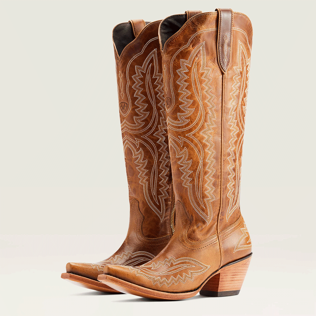 Cowboy Carter Outfits Vintage Embroidered Pointed Toe Western Boots